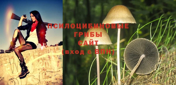 синтетический гашиш Нефтегорск