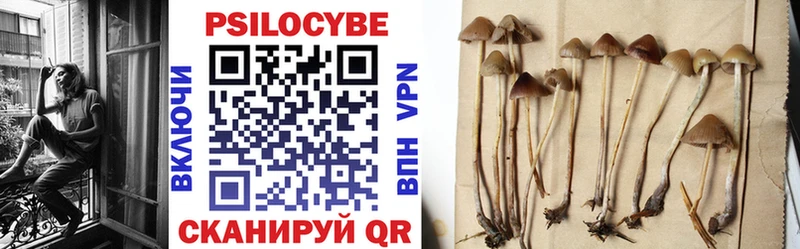 Галлюциногенные грибы мухоморы  Краснодар 